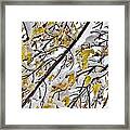 Colorful Maple Tree Branches In The Snow 3 Framed Print