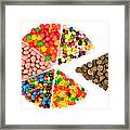 Colorful Pie Charts Framed Print