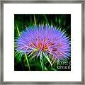 Colorful Puffball Framed Print