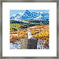 Colorful Snow Cat Framed Print
