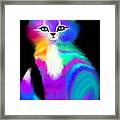 Colorful Striped Rainbow Cat Framed Print
