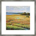 Colors In The Marsh Framed Print