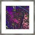 Colors Of Midnight Framed Print