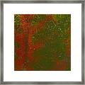 Colors Of Nature 12 Framed Print
