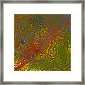 Colors Of Nature 8 Framed Print