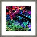 Colors Of The Dream Framed Print