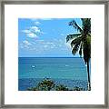 Colors Of The Pacific Framed Print