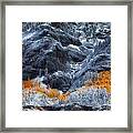 Colors On The Hill Framed Print