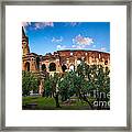 Colosseum Behind Trees Framed Print