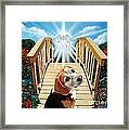 Come Walk With Me Over The Rainbow Bridge Framed Print