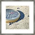 Compass In The Desert Framed Print