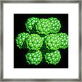 Computer Graphics Of Buckminsterfullerene Framed Print