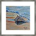 Conched Out Framed Print