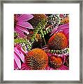Cone Flowers And Mint Framed Print