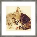 Content Kitty Framed Print