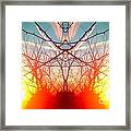 Chemtrails And Hedge Framed Print