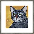 Cool Cat Framed Print