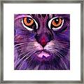 Cool Maine Coon Framed Print