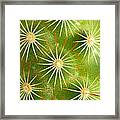 Copper King Cactus 2am-114163 Framed Print