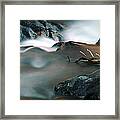 Copper Stream 2 Framed Print