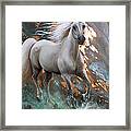 Copper Sundancer - Horse Framed Print