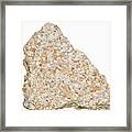 Coquina Composed Of Shell Fragments Framed Print