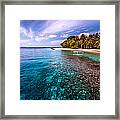 Coral Reef At Royal Island Resort Framed Print