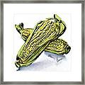 Corn Study Framed Print