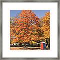 Corning Fall Foliage - 4 Framed Print