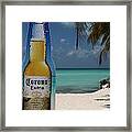 Corona Framed Print