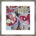 Cortland Apples Framed Print