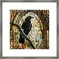 Corvid Arch Framed Print