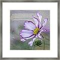 Cosmo Of The Garden Framed Print