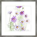 Cosmos Comfort Framed Print