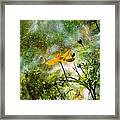 Cosmos Sharing It's Beauty Framed Print