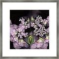 Cotten Tail Framed Print