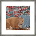 Cougar Framed Print