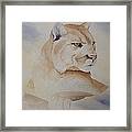 Cougar On Watch Framed Print
