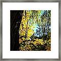 Country Color 29 Framed Print