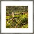 Country - Fence - County Border Framed Print