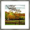 Country Serenity Framed Print