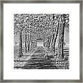 Country.fall.bw Framed Print