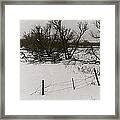 Countryside Fence Trees Near Aberdeen South Dakota 1965 Black And White Framed Print