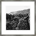 Countryside Market Framed Print