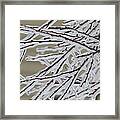 Covered In Ice Framed Print