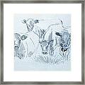 Cow Drawing Framed Print