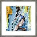 Cozumel Pelican Framed Print