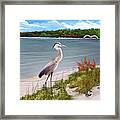 Crane By The Sea Shore Framed Print