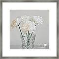 Creamy White Flowers In Tall Vase Framed Print
