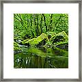 Creek In The Woods Framed Print